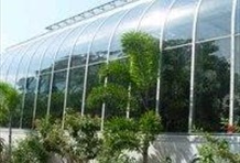 Key West Butterfly Conservatory